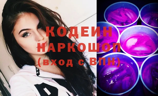 хмурый Нея