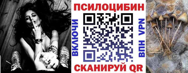 Галлюциногенные грибы Cubensis KRAKEN ссылка Ступино