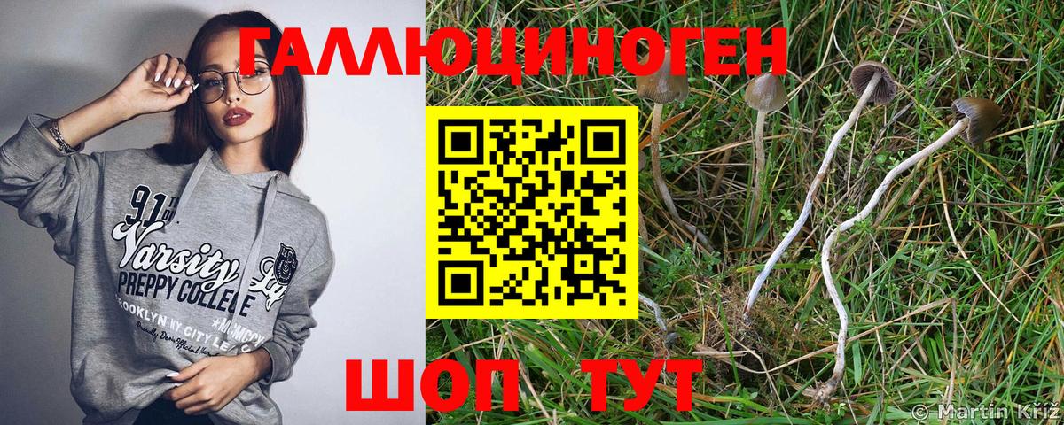 Псилоцибиновые грибы ЛСД  Галлюциногенные грибы Psilocybe  Ступино 