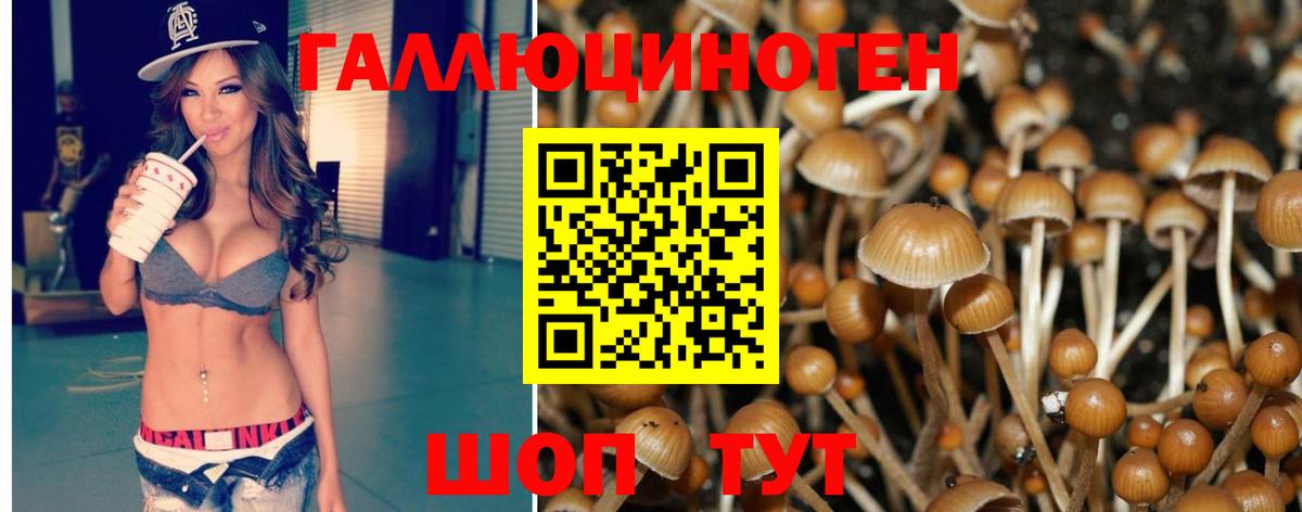 Псилоцибиновые грибы Magic Shrooms  Вход с VPN  Ступино 